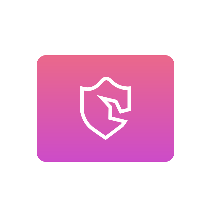 Security and Integrity Risks
